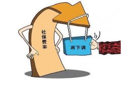 重庆市2016多项社会保险费率下调 报销比例调整