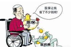 北京市老人入户医疗费将纳入医保报销