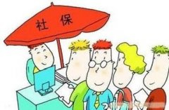 河南省行政区域内社会保险费由地税机关征收