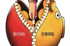 泰州12市试点生育保险纳入2017医保征缴
