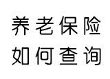 济南个人养老保险如何查询缴费明细